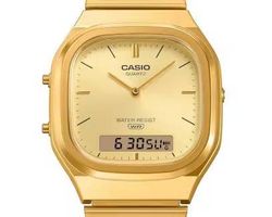 Reloj Casio COLLECTION AQ-240EG-9AEF UNISEX